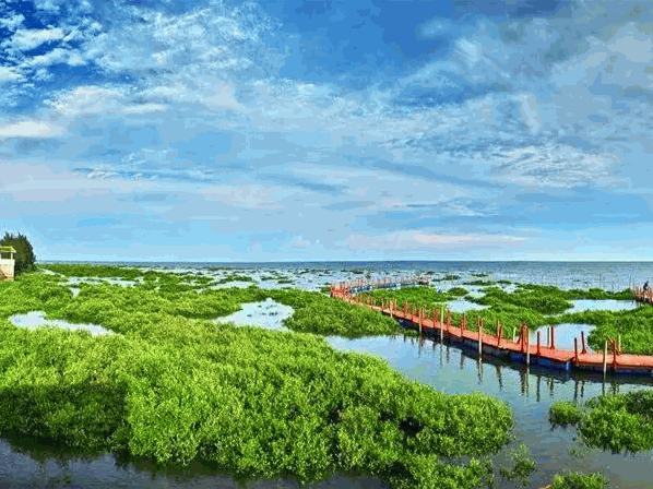 广西防城港市东湾红树林国家级湿地公园PPP项目勘察